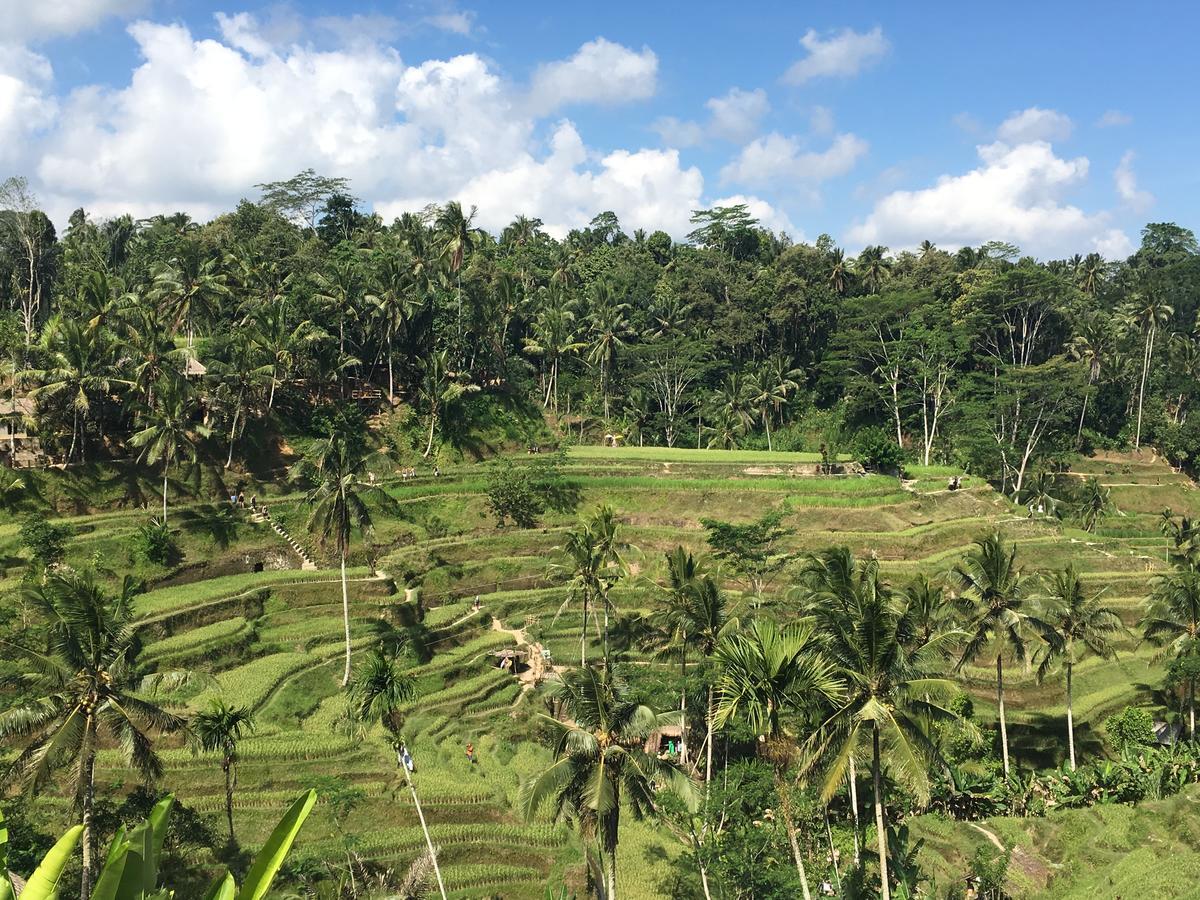 Villa Maha Ubud Esterno foto